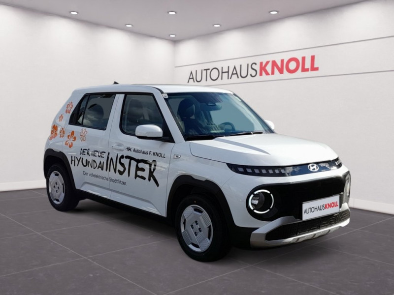 INSTER Smart Line 42kWh r5s41-P1-O1 - 6