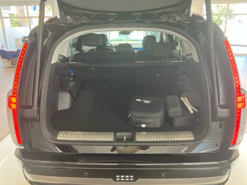 IONIQ 9 Calligraphy 110 kWh 4WD Performance - 1