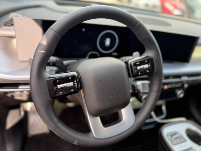 IONIQ 9 Prestige Line 110 kWh 4WD - 9