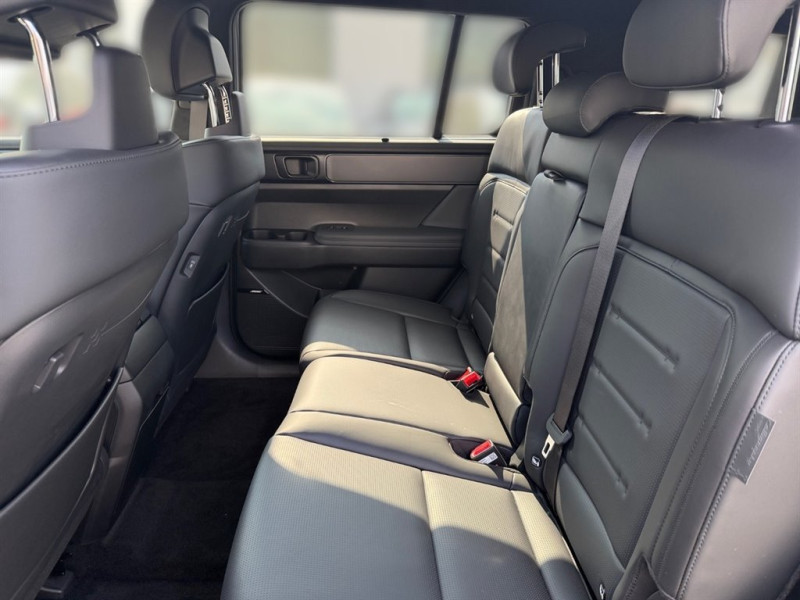 Santa Fe (MX5) Calligraphy 1.6 T-GDI PHEV 4WD s5py1 - 7